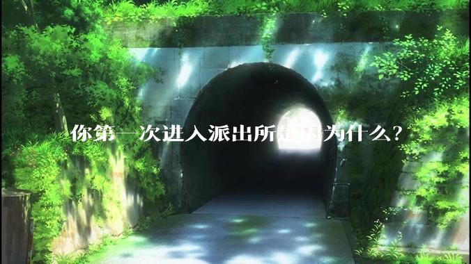 你第一次进入派出所是因为什么？