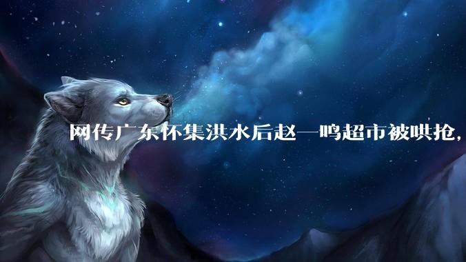 网传广东怀集洪水后赵一鸣超市被哄抢，县***回应相关单位正在核实，若属实哄抢者该承担哪些法律责任？
