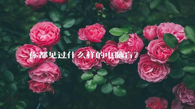 你都见过什么样的电脑盲？